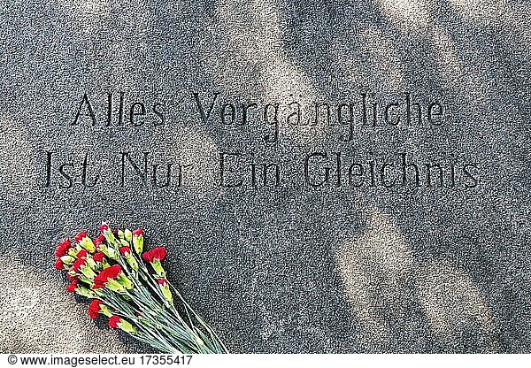 Inschrift  Zitat von Goethe auf Steinplatte  Alles Vergängliche ist nur ein Gleichnis  rote Nelken  Grab von Kurt Tucholsky  Friedhof von Mariefred  Strängnäs  Södermanlands län  Schweden  Europa