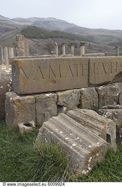 Inschriften am Standort römischen Djemila,  UNESCO World Heritage Site,  Algerien,  Nordafrika,  Afrika