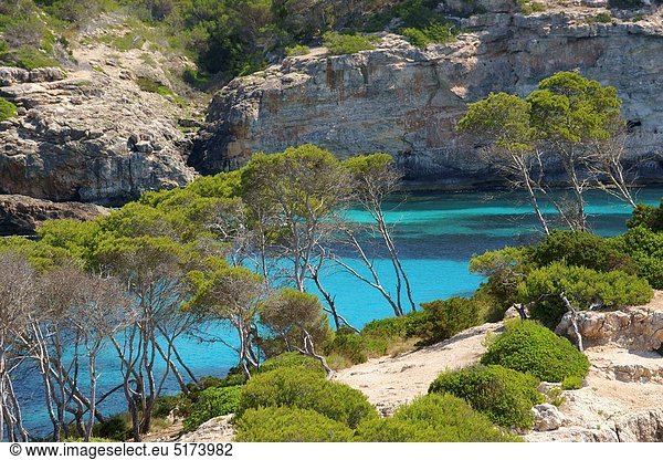 Insel  Mallorca  Spanien