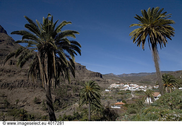 Insel Mitte  bei Tejeda  kurvige Landstraße in den Bergen  Fatags  Ortschaft im Hinterland von Maspalomas  Gran Canaria  Kanarische Inseln  Spanien  Europa