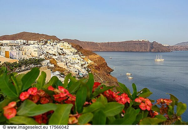 Insel Santorini Ferien Reise reisen Stadt Oia am Mittelmeer abends in Santorin  Griechenland  Europa