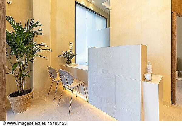 Interior design of the entrance of a luxury clinic with plants and chairs