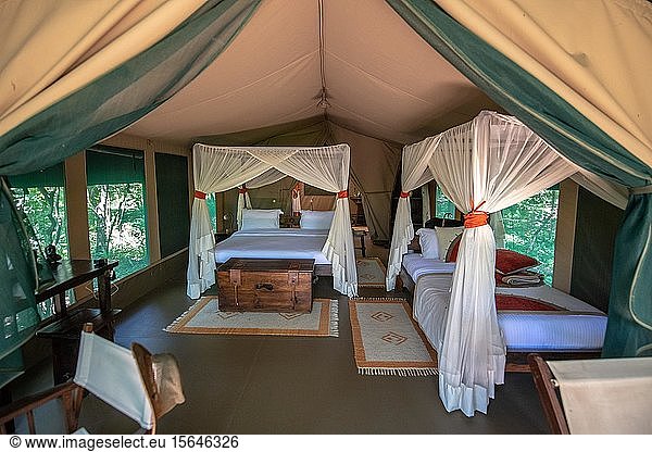 Interior of a luxurious tent cabin for tourist in Maasai Mara National Reserve  Kenya  Africa