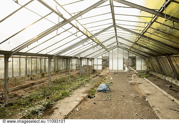 Interior of abandoned greenhouse  Munich  Bavaria  Germany