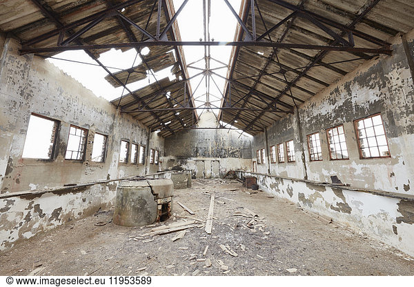 Interior of an old large derelict building in a deserted diamond miming town  with the roof open to the sky.
