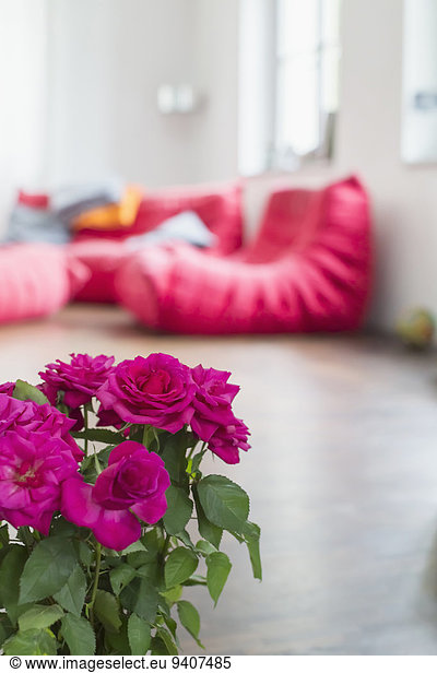 Interior of livingroom with roses