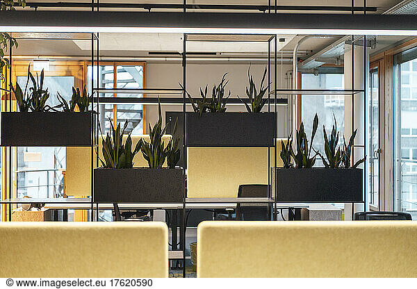 Interior of office with potted plants
