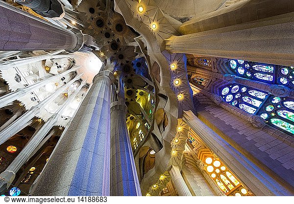 Interior  Sagrada Familia Cathedral ideated by Antoni Gaudi  Barcelona  Spain  Europe