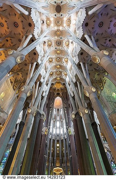 Interior  Sagrada Familia Cathedral ideated by Antoni Gaudi  Barcelona  Spain  Europe