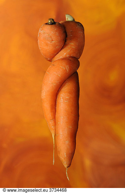 Interlocked loving carots