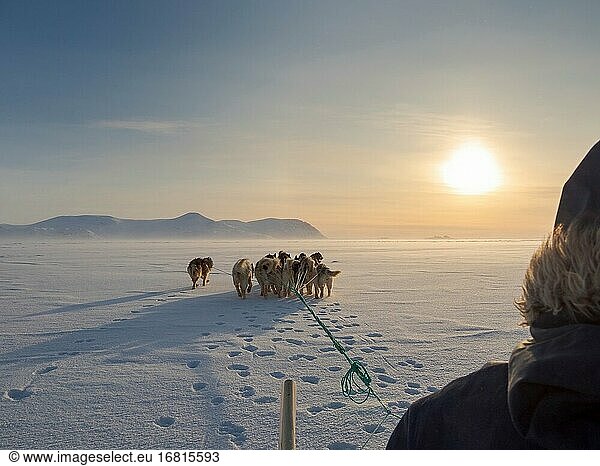 Inuit-Jäger auf Hundeschlitten auf dem Meereis der Melville-Bucht bei Kullorsuaq in Nordgrönland. Nordamerika  dänisches Territorium.