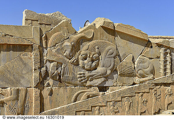 Iran  antike achämenidische Ausgrabungsstätte von Persepolis  Basreliefs am Darius-Palast