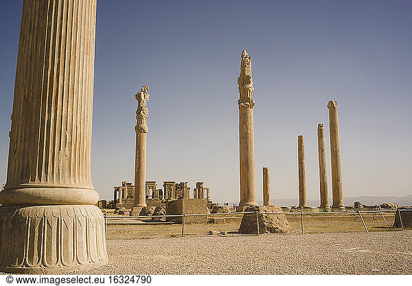 Iran  Persepolis  columns of Apadana Palace