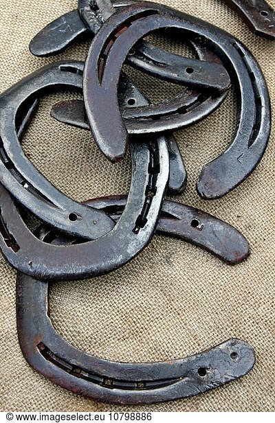 Iron horseshoes for sale