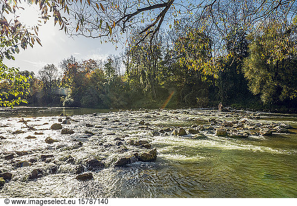 Isar river in the Northern English Garden in autumn  Oberfohring  Munich  Germany