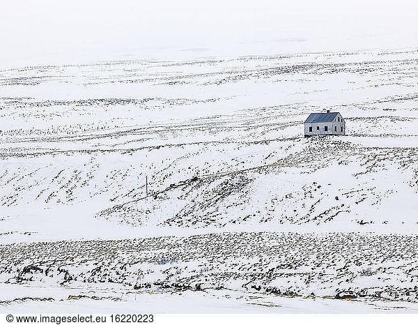Island  Blick auf einsames Haus in winterlicher Landschaft