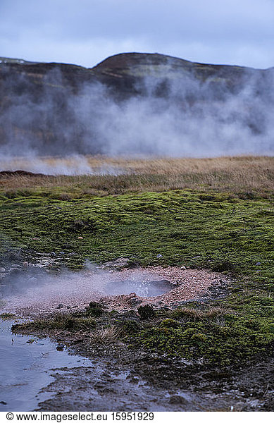 Island  dampfender Geysir im Frühling