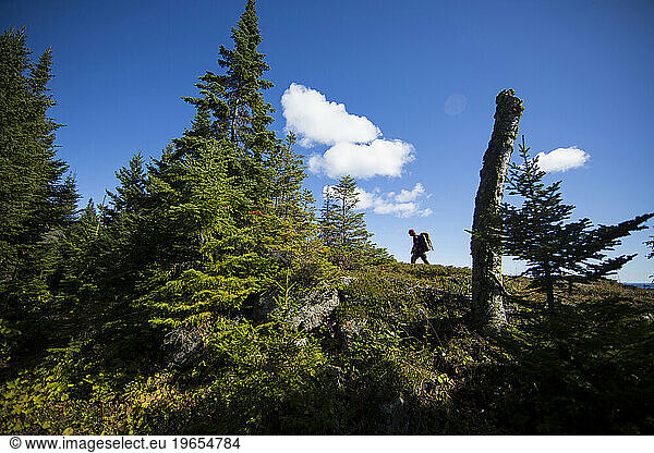 Isle Royale.