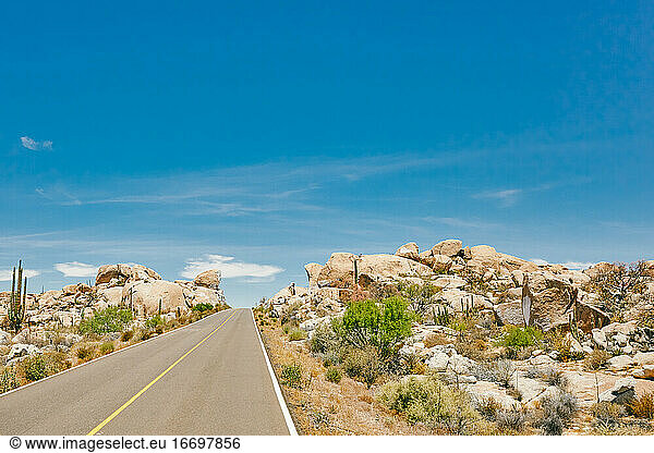 Isolated highway during the summer in the desert of Baja  Mexico.