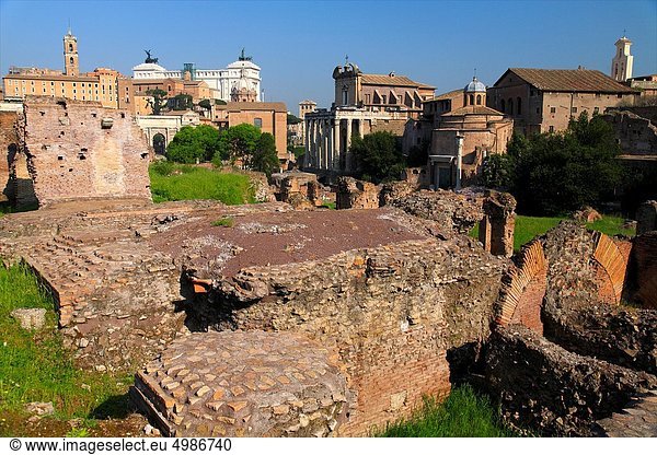 Italien  Lazio Rom  Forum Romanum