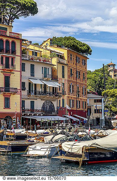 Italien  Portofino  Boote im Yachthafen