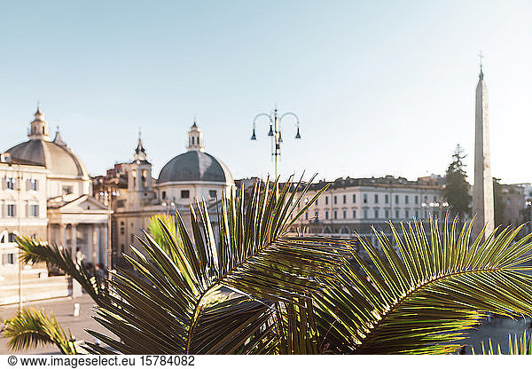 Italien  Rom  Palmenzweige gegen Gebäude der Piazza del Popolo