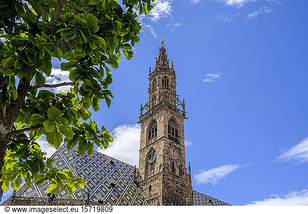 Italien  Südtirol  Bozen  Glockenturm der Kathedrale Maria Himmelfahrt