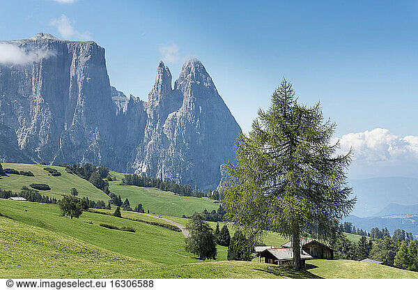 Italien  Südtirol  Seiseralm  Schlern und Santner Gipfel