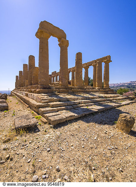 Italien  Sizilien  Akragas  Blick auf Hera-Tempel  Tempel D  im Tempel-Tal