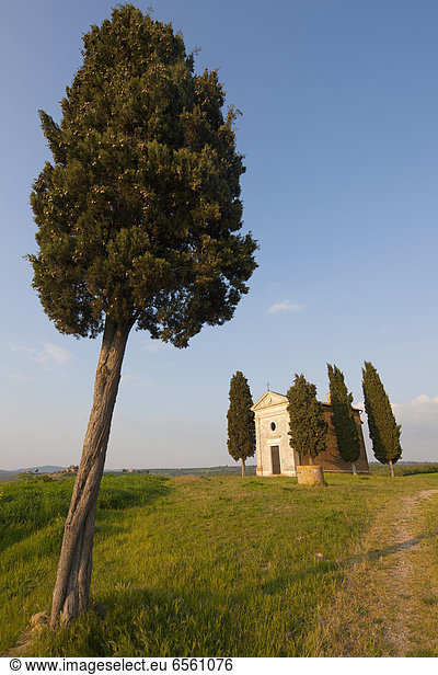 Italien  Toskana  Blick auf die Kapelle Vitaleta mit Zypresse bei Sonnenuntergang