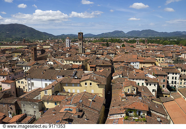 Italien  Toskana  Provinz Lucca  Lucca  Stadtbild  Blick von der Torre Guinigi