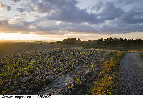 Italien  Toskana  Provinz Siena  Kreta Senesi  Landschaft bei Sonnenuntergang