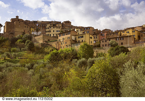 Italien  Toskana  Siena  Stadtbild