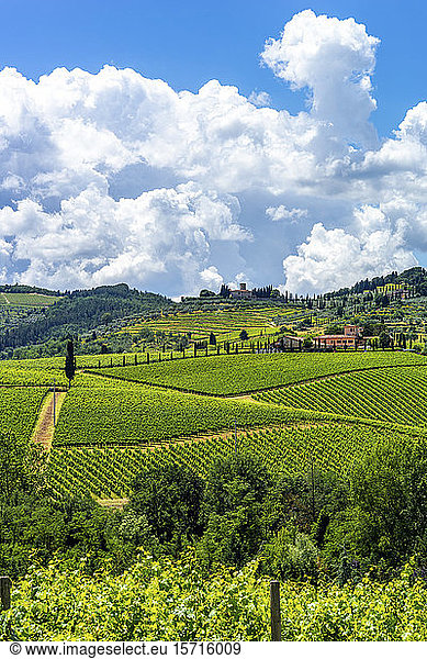 Italien  Toskana  Weinberge bei San Gimignano