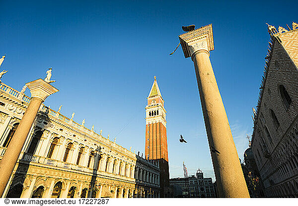 Italien  Venetien  Venedig  Löwe von Venedig Säule steht gegen klare blaue mit Saint Marks Campanile im Hintergrund