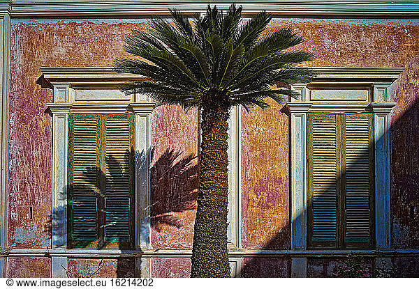 Italy  Apulia  Palm tree in front of abandoned house