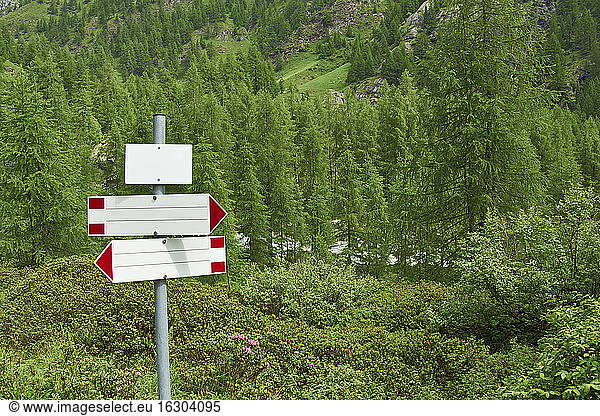 Italy  empty guidepost in forest of Valle Antrona