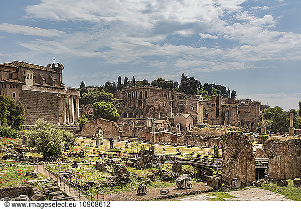 Italy  Lazio  Rome  Forum Romanum