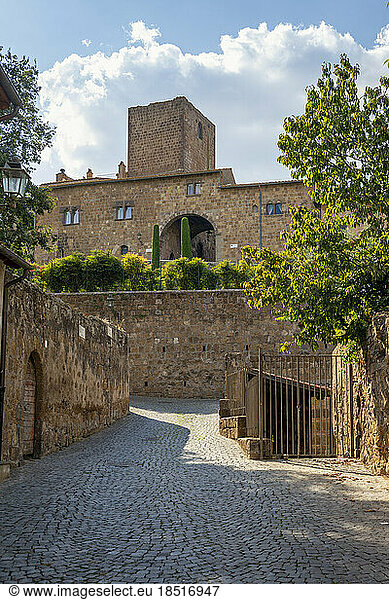 Italy  Lazio  Tuscania  Cobblestone alley in historic town