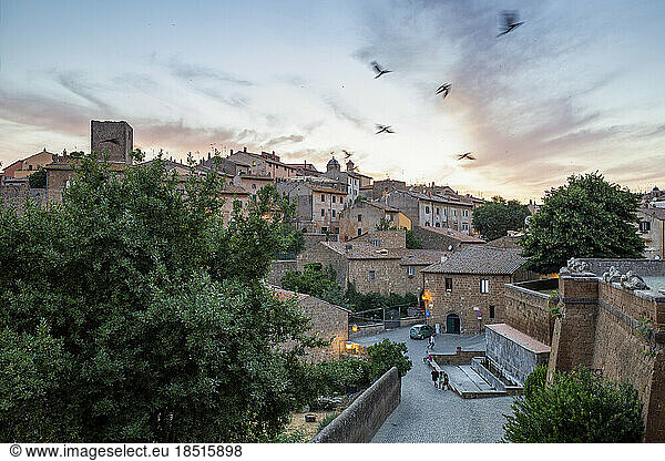 Italy  Lazio  Tuscania  Flock of birds flying over medieval town at dusk