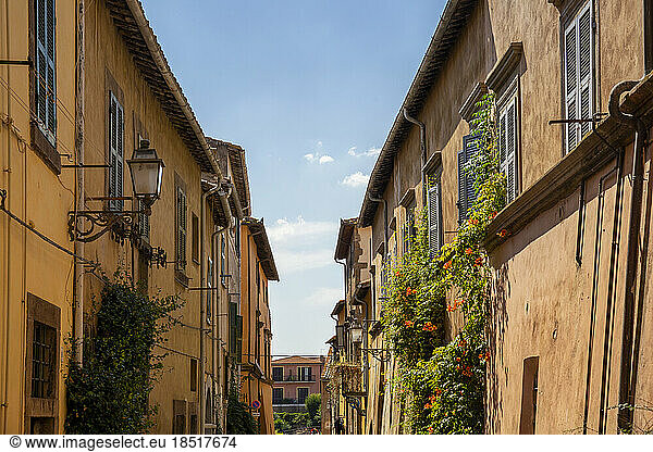 Italy  Lazio  Tuscania  Rows of historic town houses in summer