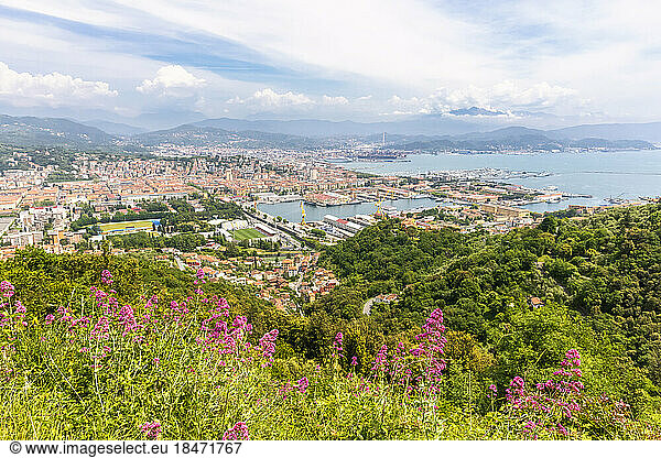 Italy  Liguria  La Spezia  View from hill overlooking coastal city in summer