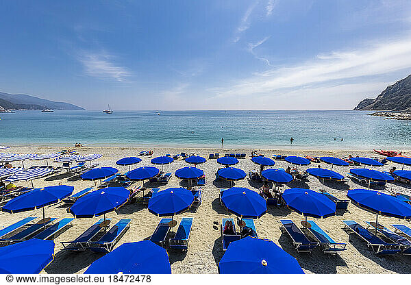 Italy  Liguria  Monterosso al Mare  Rows of deck chairs and umbrellas on sandy beach along Cinque Terre