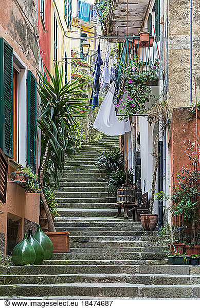 Italy  Liguria  Monterosso al Mare  Steps along narrow town alley