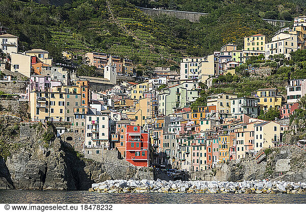 Italy  Liguria  Riomaggiore  Coastal village along Cinque Terre