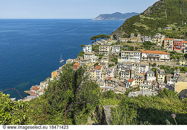 Italy  Liguria  Riomaggiore  View of coastal town along Cinque Terre in summer