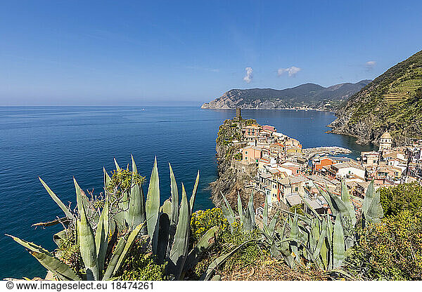 Italy  Liguria  Vernazza  View of coastal town with aloe growing in foreground