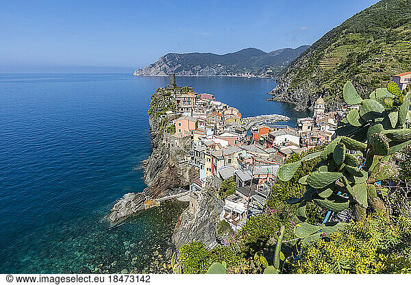 Italy  Liguria  Vernazza  View of coastal town with cacti growing in foreground