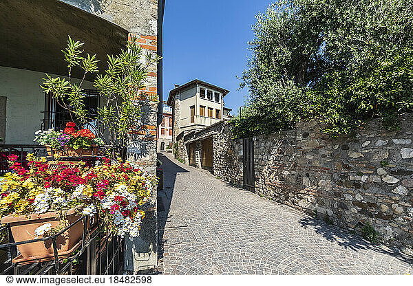 Italy  Lombardy  Sirmione  Paved town alley in summer with blooming flowers in foreground