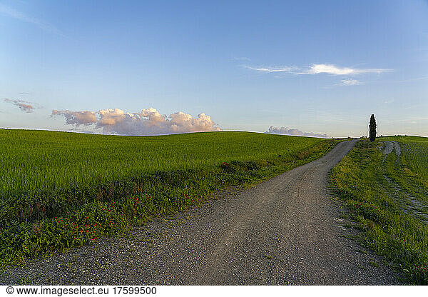 Italy  Province of Siena  Empty dirt road in Val dOrcia at dusk